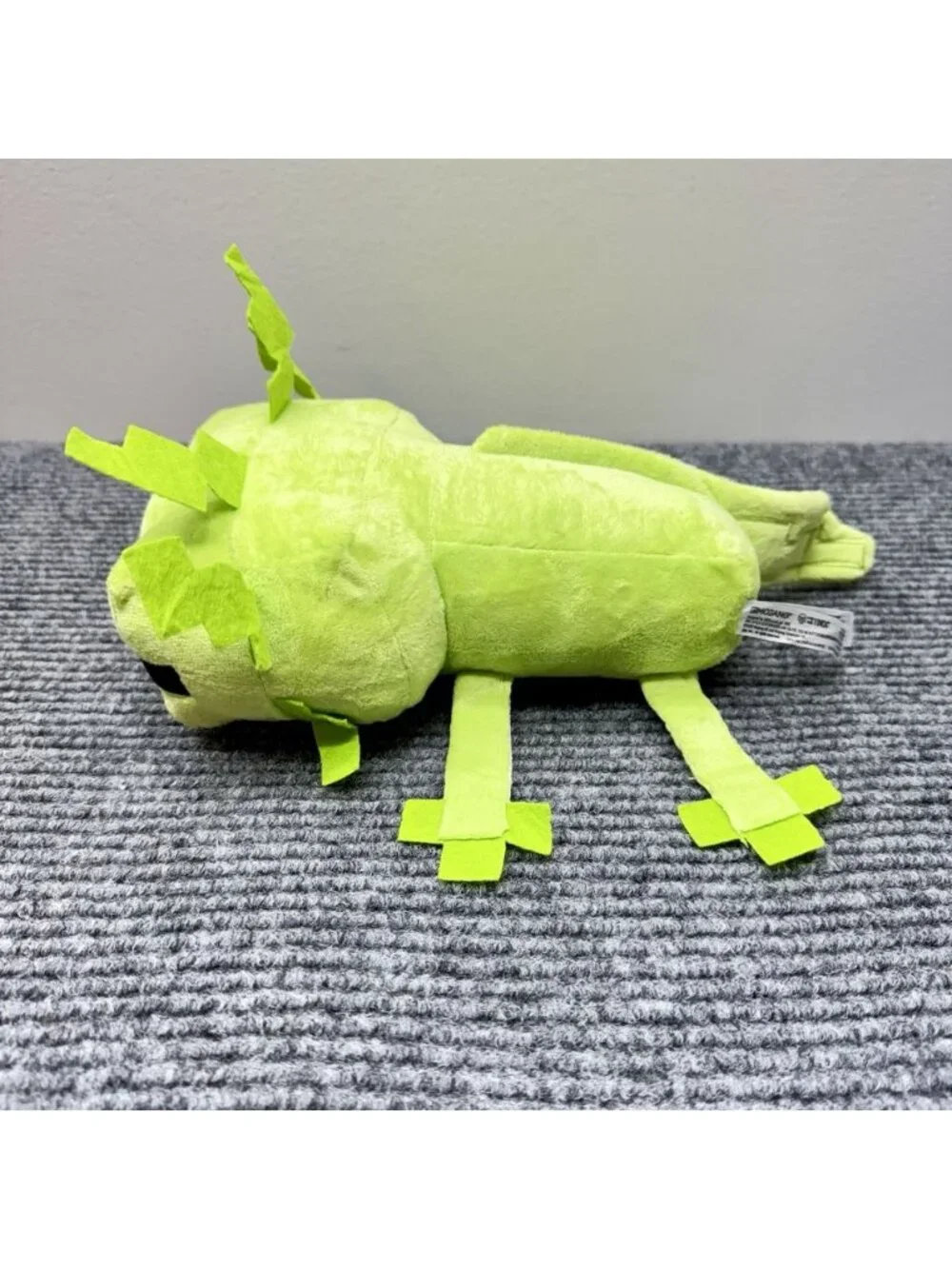 Minecraft Axolotl 12